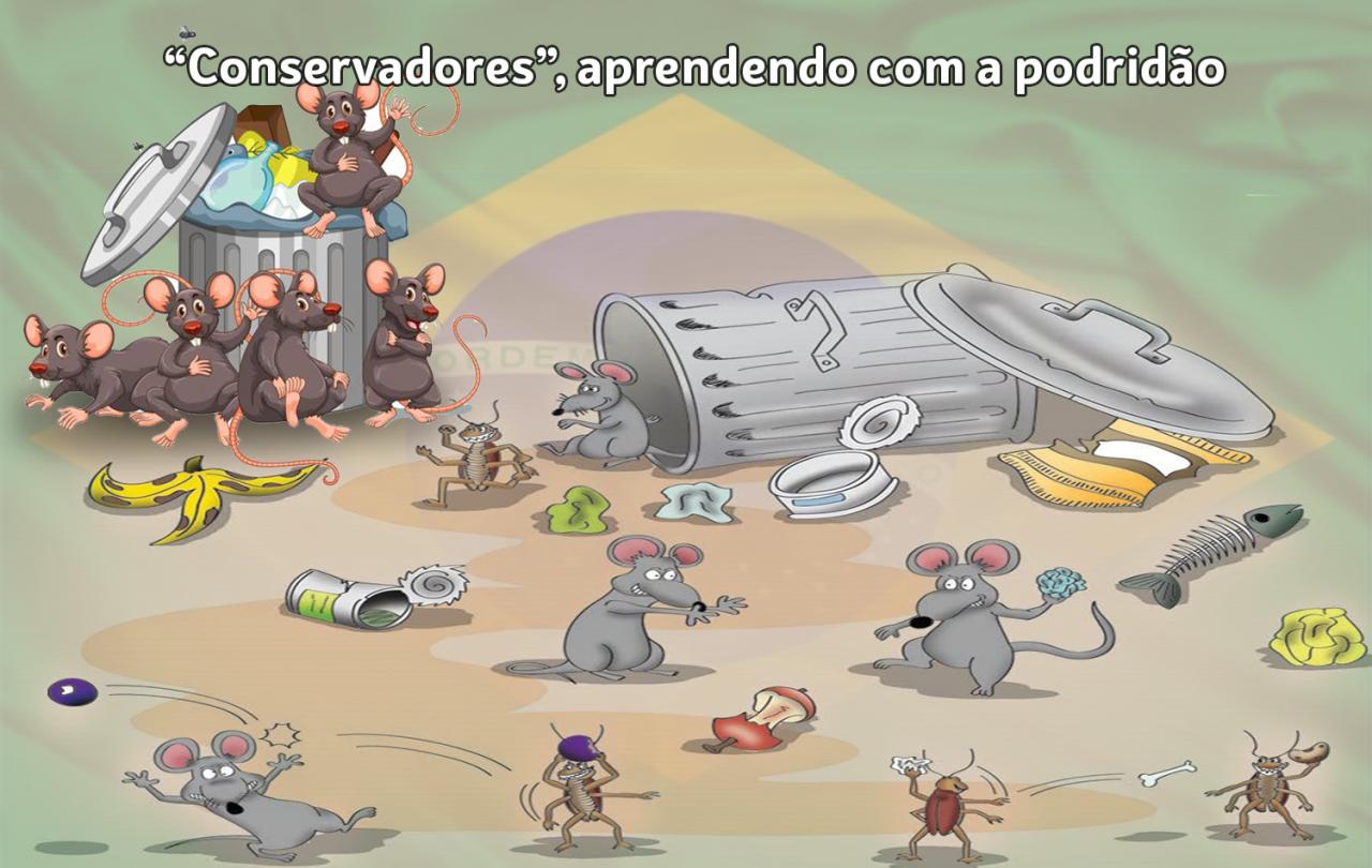 “Conservadores”, aprendendo com a podridão