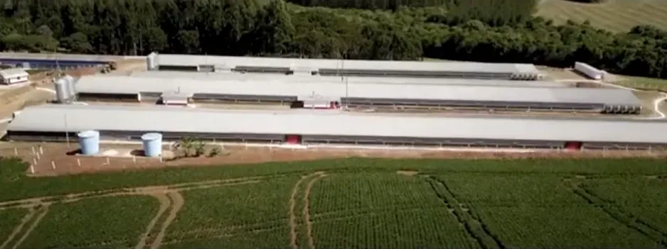 Grávida é barrada de sair para dar à luz, e bebês morrem