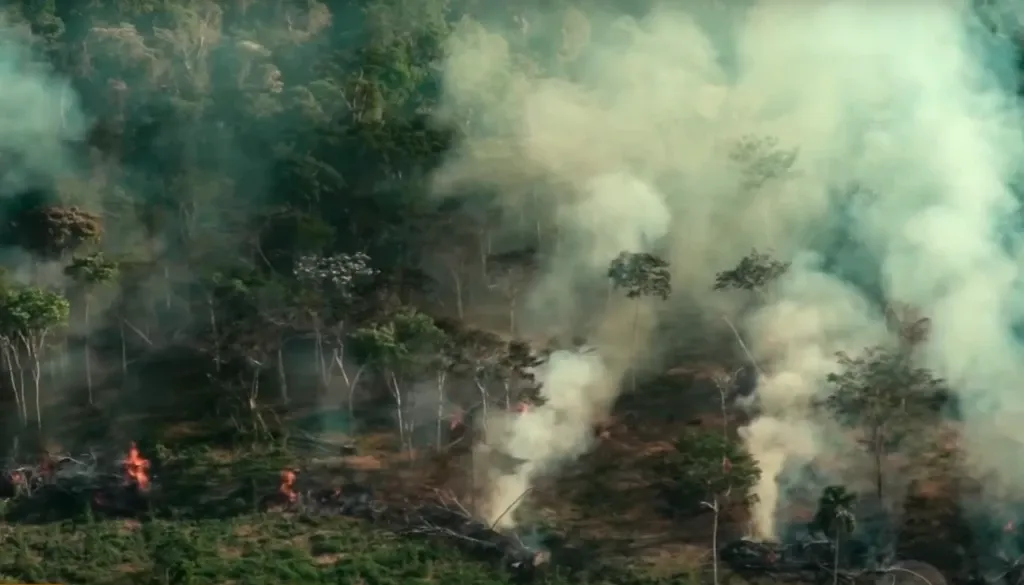 Alerta de desmatamento sobe 27% na Amazônia no 1° semestre