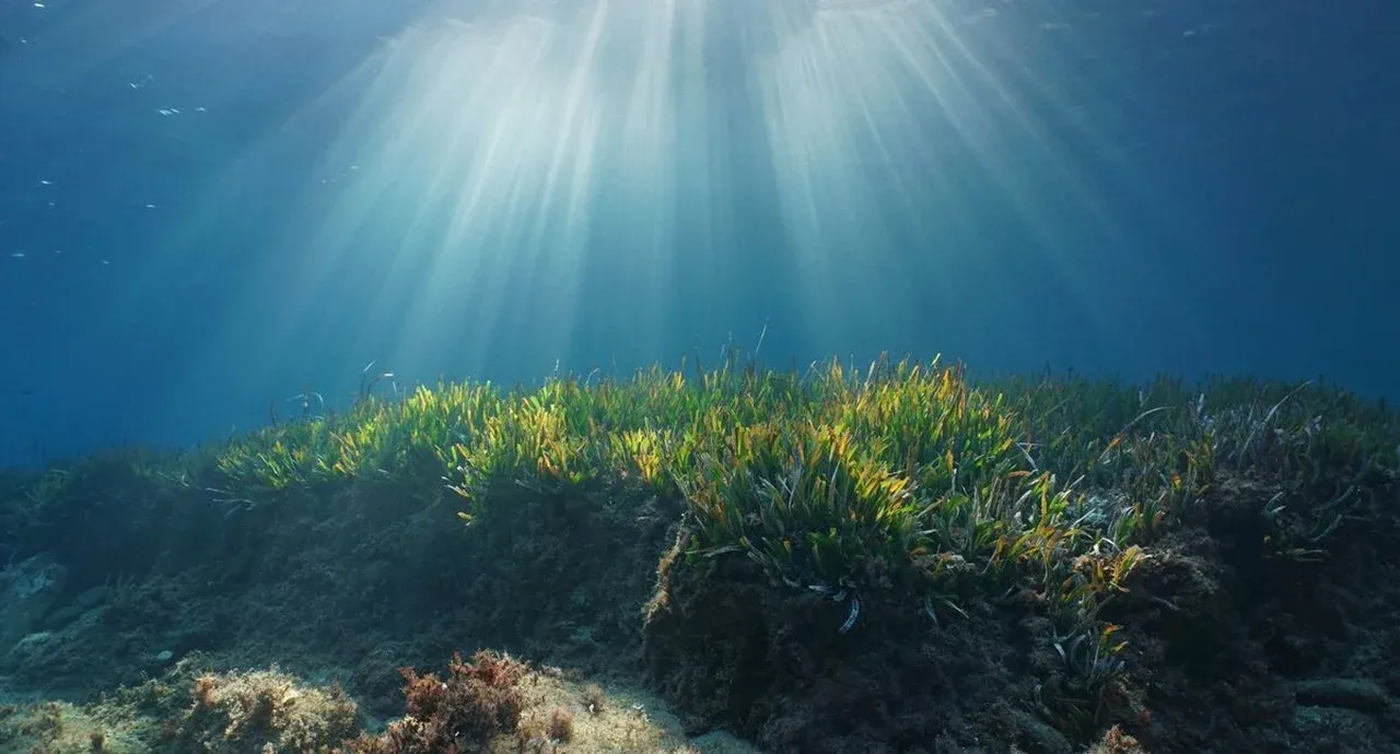 Brasil reivindica ilha submersa no Atlântico do tamanho da Espanha rica em 'minerais do futuro'; entenda