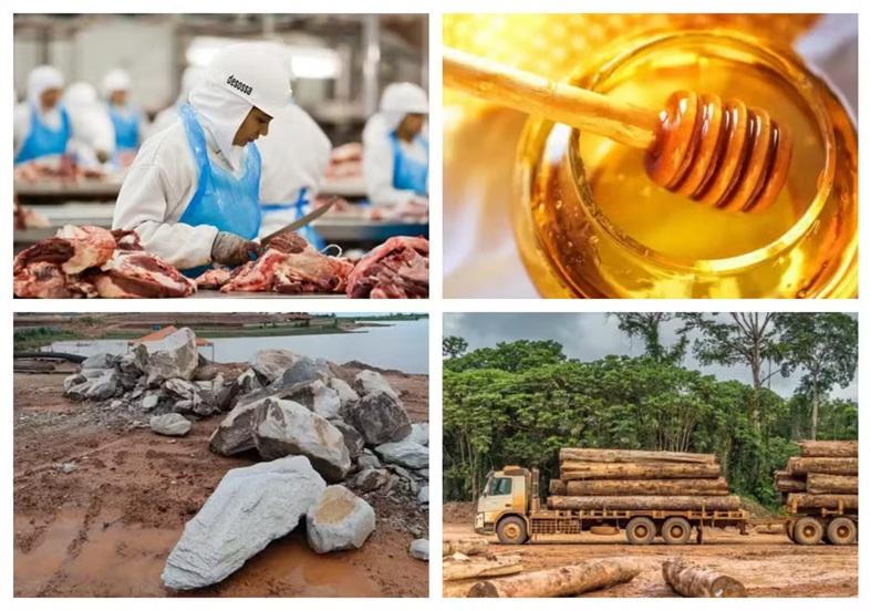 Carne, mel, madeira, peixe e mais: as vendas brasileiras já prejudicadas por anúncio de tarifa de Trump