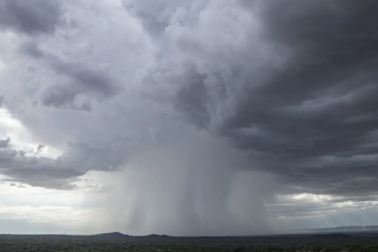 Chuva ganha força no Sul e Sudeste; interior do país segue com tempo seco e calor