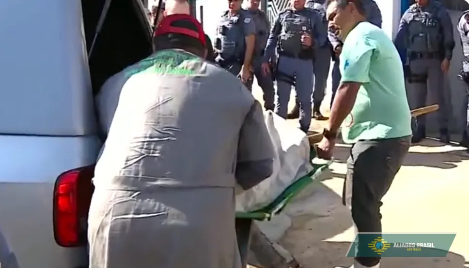 Criança de 2 anos morre após ser atacada por pitbull da família