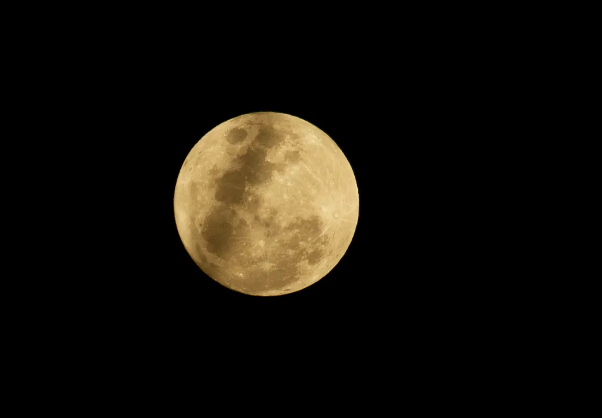 Lua do Veado: saiba tudo sobre a Lua cheia de julho