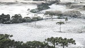 SC amanhece com mínima de -5ºC e mais de 10 cidades abaixo de zero; VÍDEO