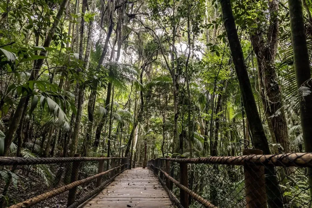 Conheça 7 cavernas abertas à visitação em São Paulo