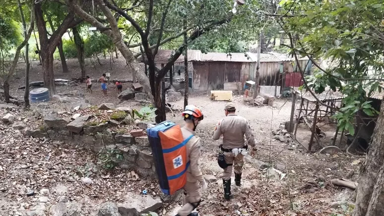 Homem é atacado por onça ao tentar salvar cachorro em MS