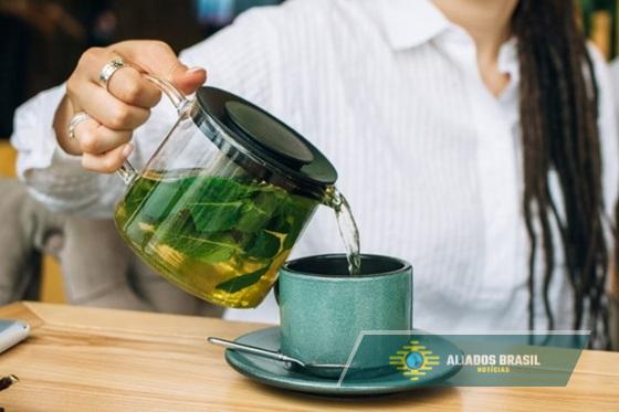 Menopausa: 10 plantas que ajudam a melhorar os sintomas