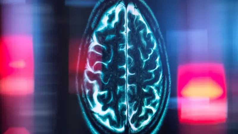 Cientistas identificam 'contador de quilometragem' do cérebro