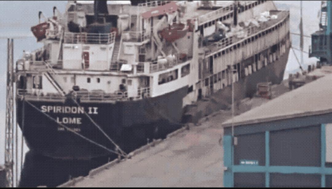 Forte odor e enxames de moscas: navio com quase 3 mil vacas fica à deriva por dois meses após veto na Turquia; entenda