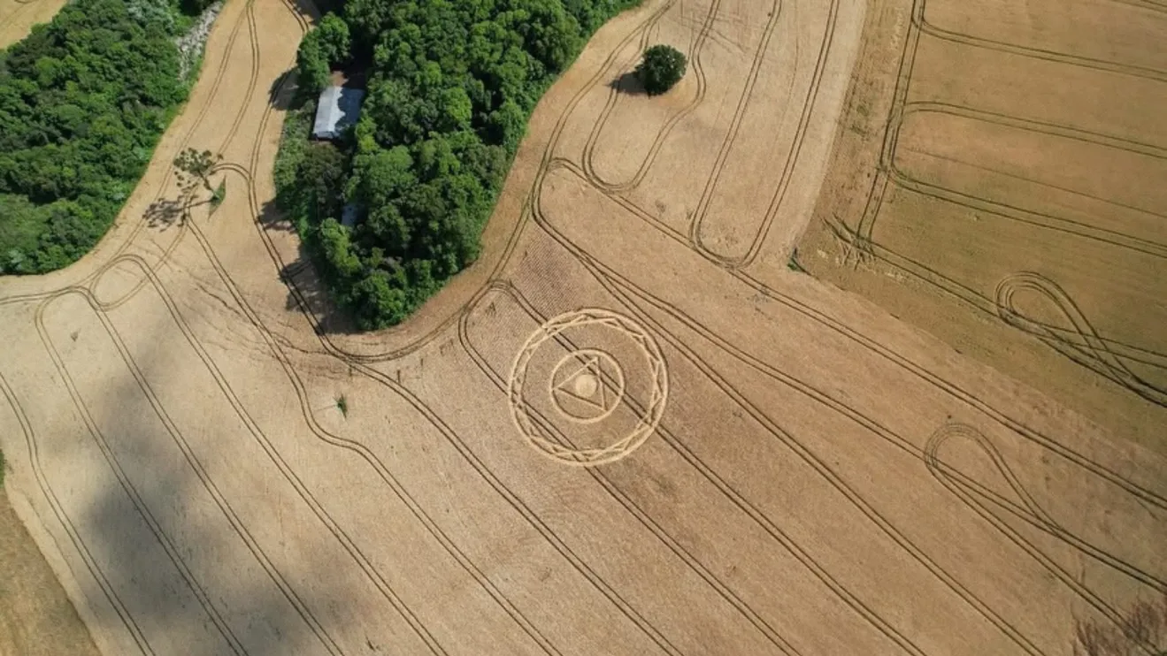 Mistério: Agroglifo surge no meio de plantação em cidade de SC