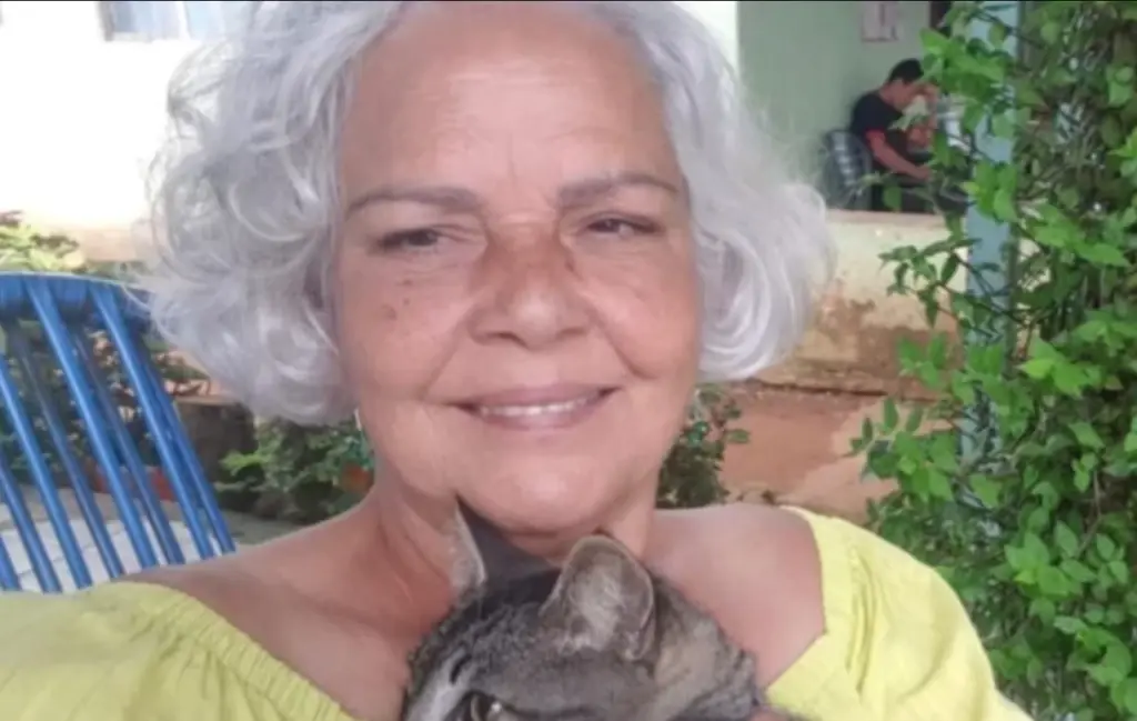 OEA responde denúncias sobre os abusos contra presos do 8/1