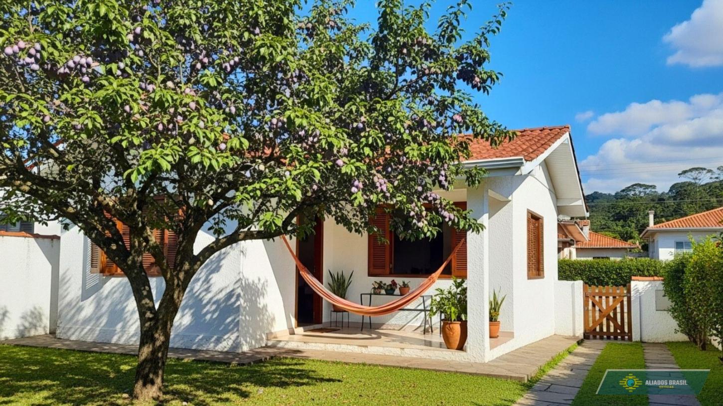 Quer plantar uma árvore em casa? Essa espécie não quebra calçadas e ainda dá frutas o ano inteiro
