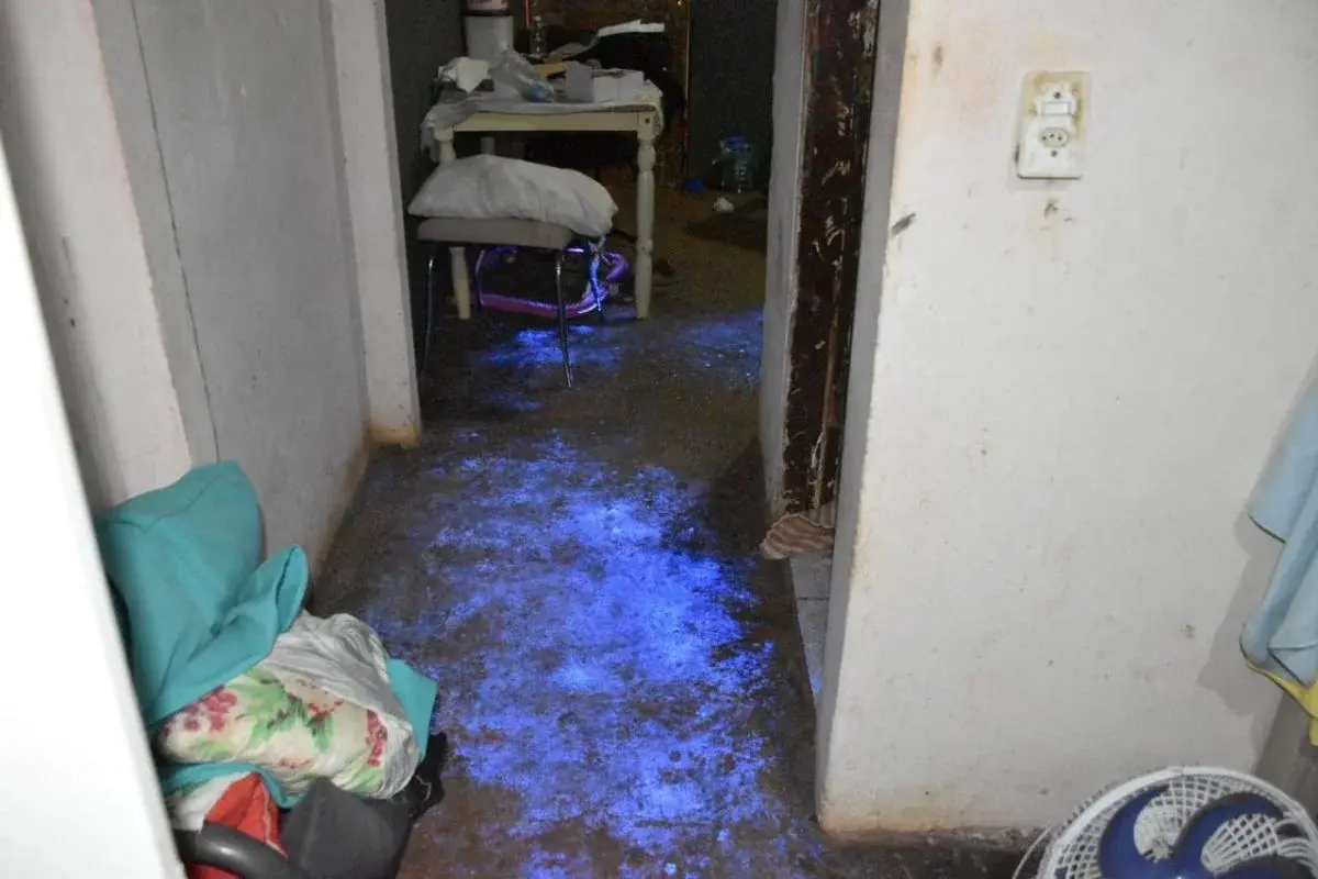 Trio esquarteja homem e esconde corpo em carrinho de bebê em SP. Veja vídeo