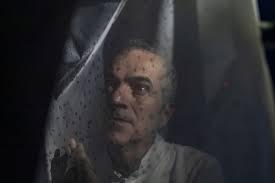 Brasileiro que criou mosquito Aedes que não transmite dengue entra na lista dos cientistas que mudaram a ciência em 2025