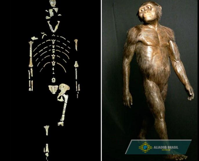 Cientistas descobrem que diferentes espécies humanas antigas viveram lado a lado e que caminhavam de jeitos diferentes