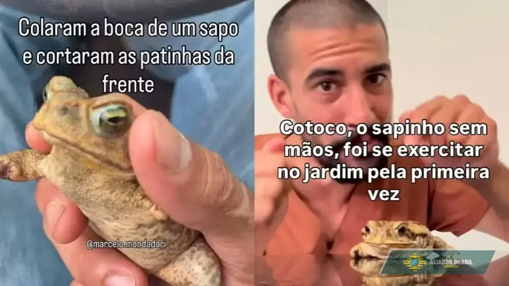 Estudante veterinário brasileiro salva sapo mutilado e com a boca colada e comove milhões nas redes; assista