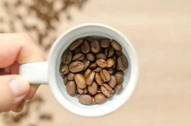 Lotes de 4 marcas de café são considerados impróprios