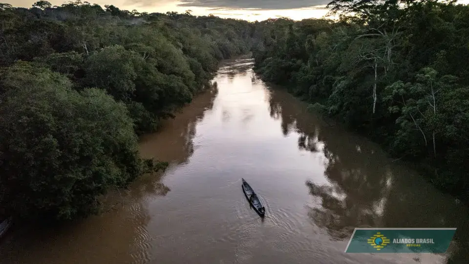 Menina de 2 anos morre depois de ser atacada por piranhas no rio Amazonas