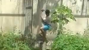 Jovem morto por leoa tinha várias passagens pela polícia