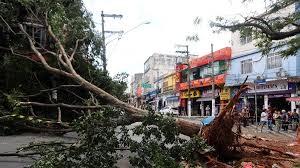 Ventania em SP deixa mais de 1,8 milhão de imóveis sem luz e provoca queda de árvores e voos cancelados