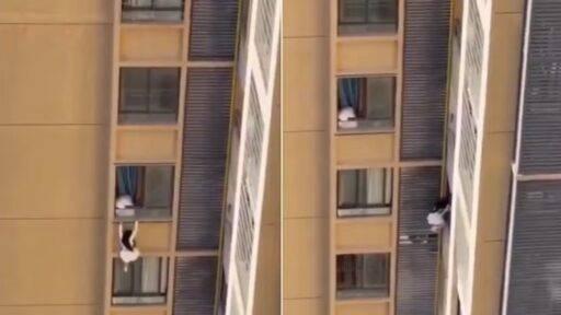 Vídeo de suposta amante pendurada no 10º andar viraliza