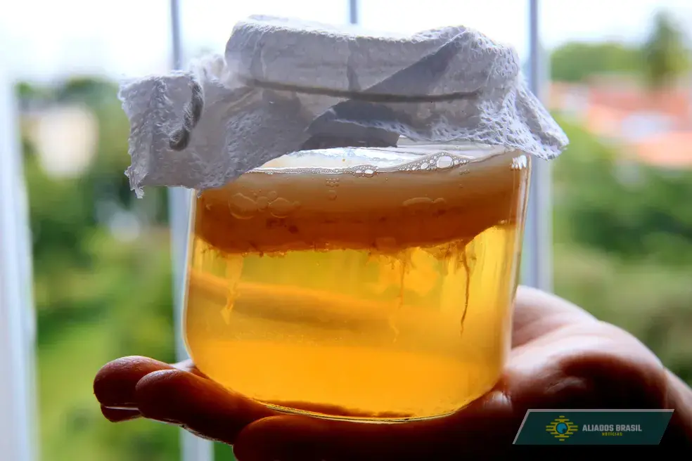 Alimentos fermentados, como kombucha, realmente fazem bem à saúde?