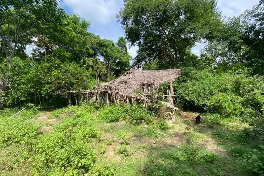 Após relato de menino de 8 anos, cães farejadores encontram novas pistas de crianças desaparecidas no MA
