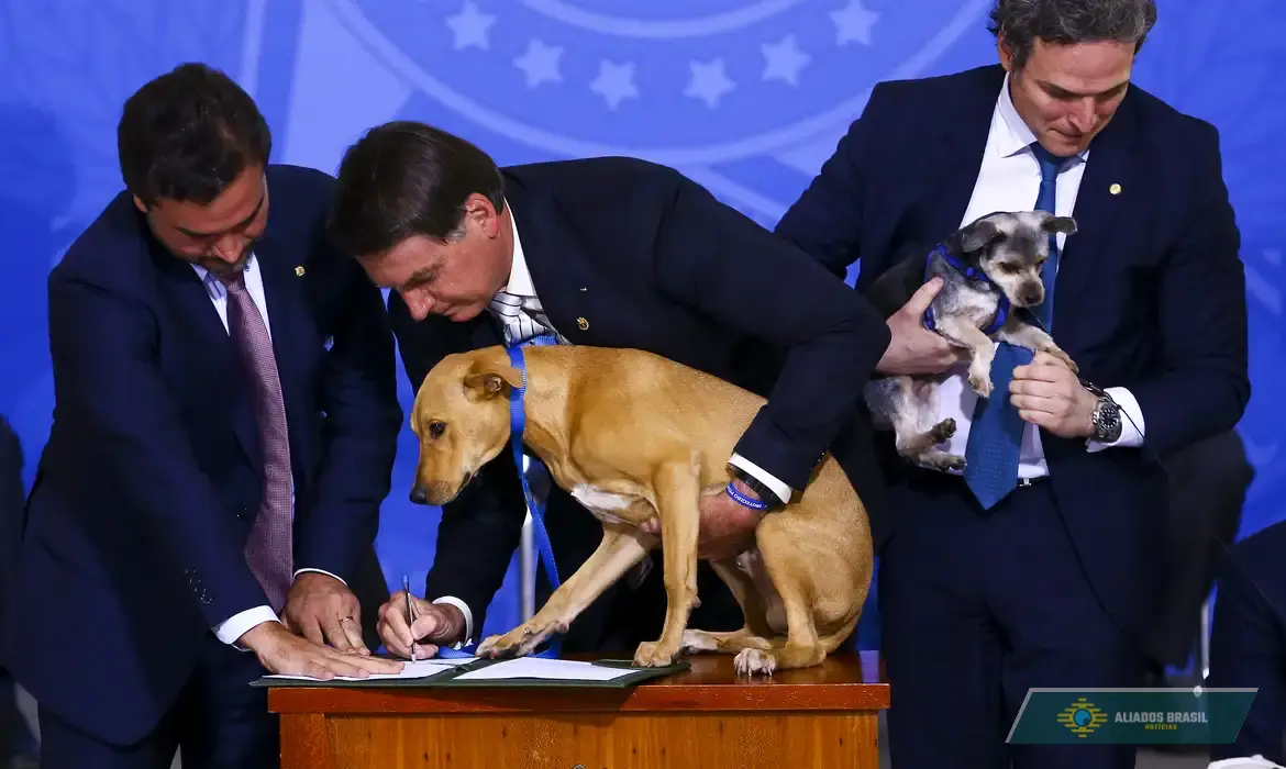 Após repercussão de caso do cão Orelha, web relembra lei sancionada por Bolsonaro contra maus-tratos a animais