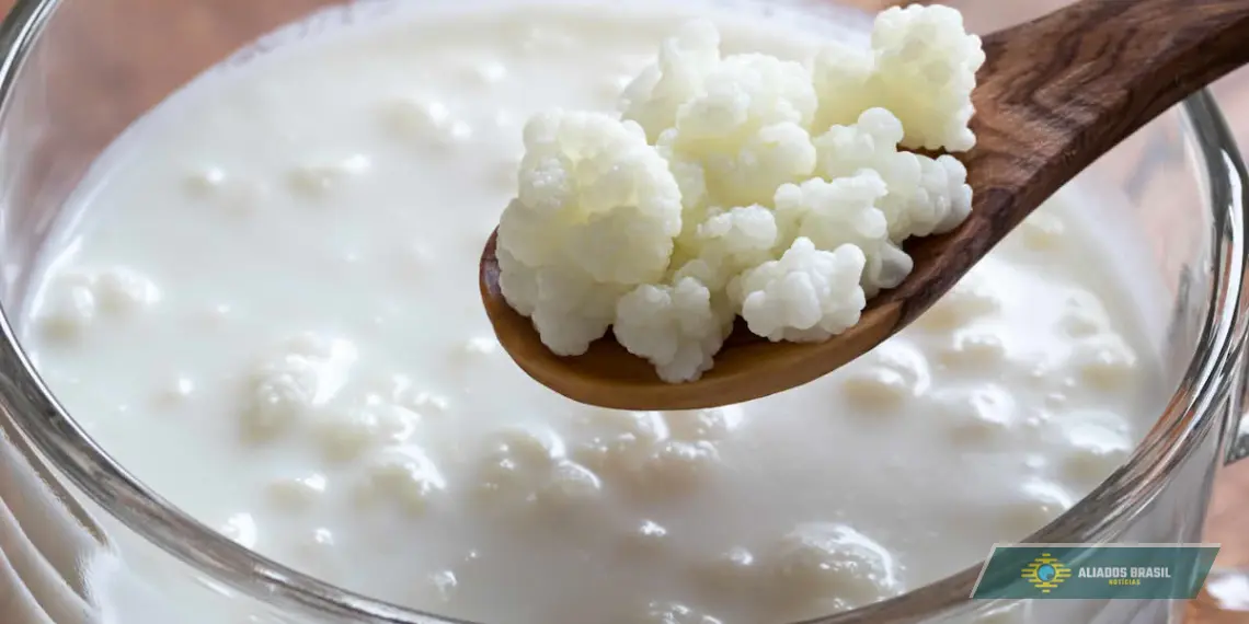 Bebida conhecida como “ouro branco” contém 60 micro-organismos, melhora a imunidade e qualidade de vida