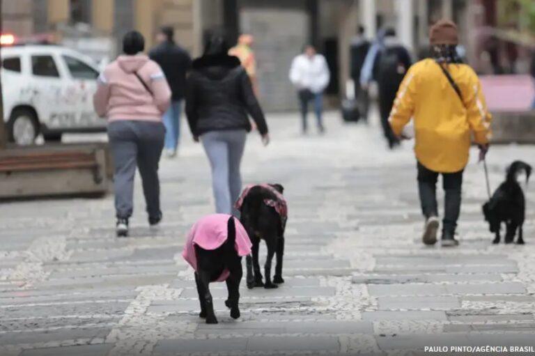Frente fria traz temporais a SP no sábado; confira a previsão para sua região