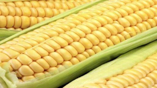 Golpe em Copacabana faz turista argentina pagar R$ 20 mil por milho-verde