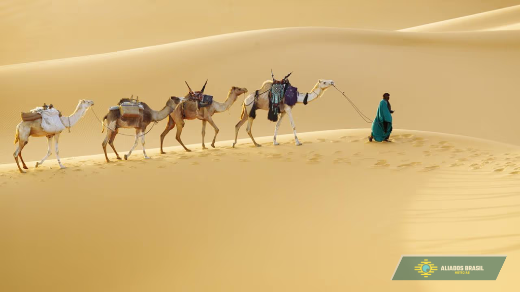 Homem ajuda filhote de camelo caído e reação da mãe é de arrepiar qualquer um