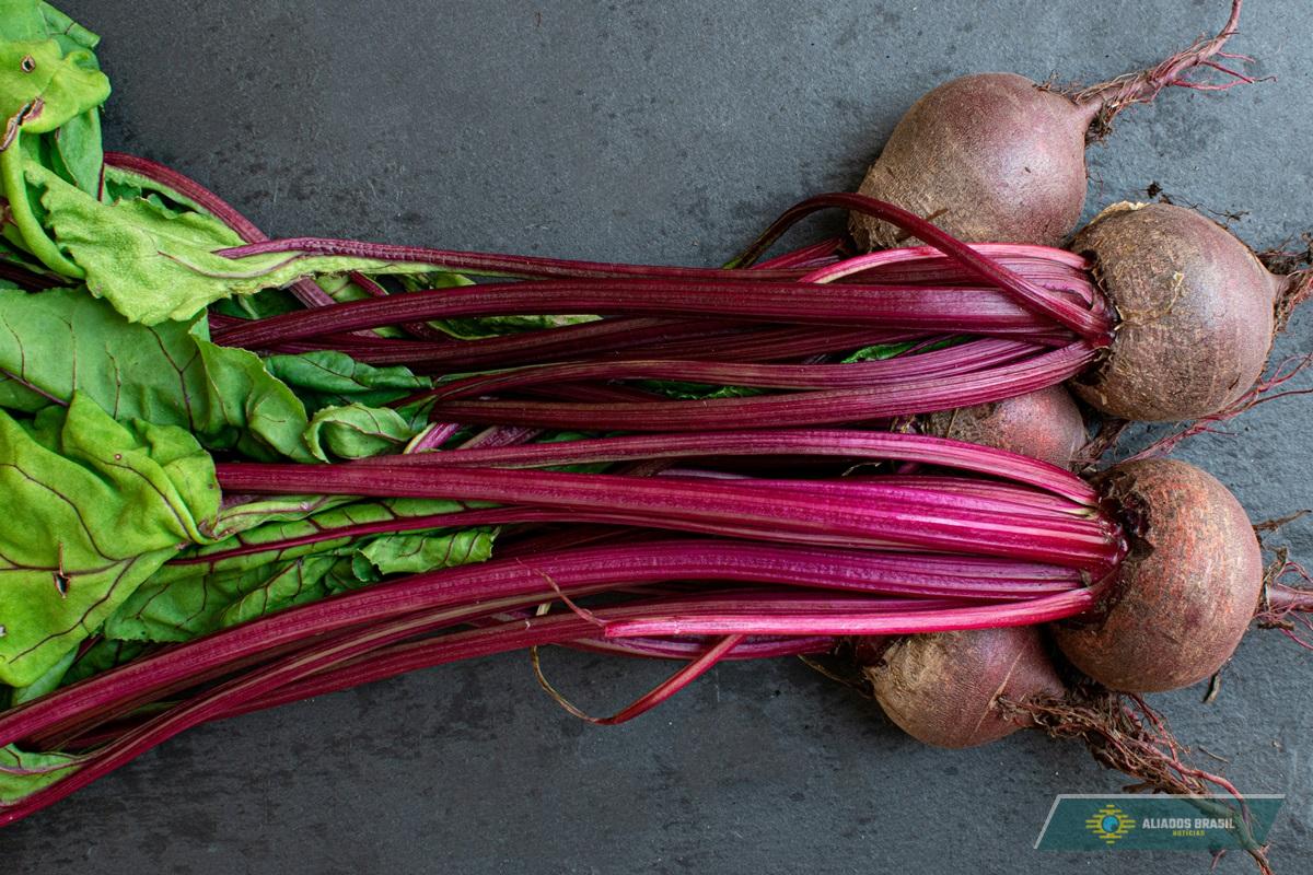 Médico explica se comer beterraba é seguro para pessoas com diabetes