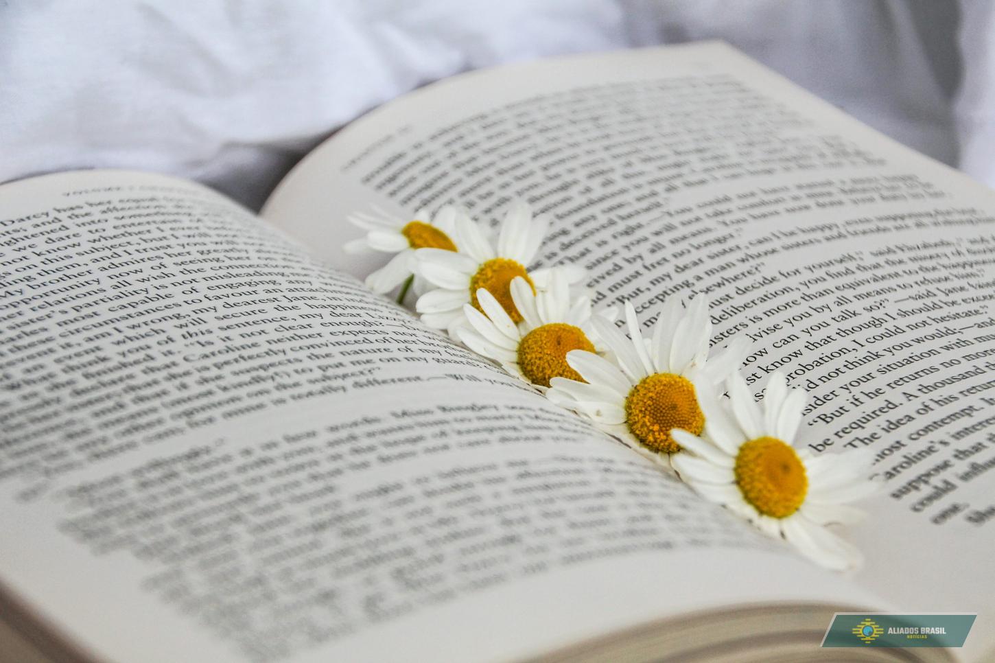 O detalhe invisível dos livros que afeta sua leitura