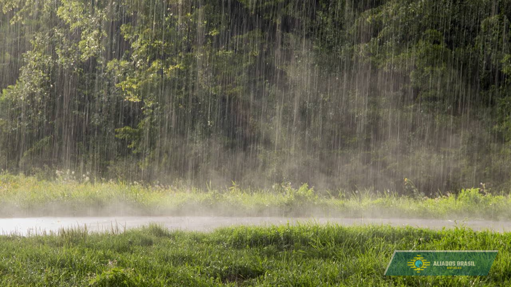 Por que o cheiro de chuva desperta boas lembranças e te deixa emotivo?