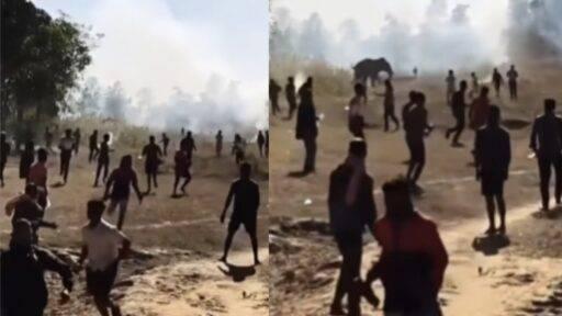 Vídeo: Elefante mata 22 pessoas no leste da Índia e força moradores a dormir em telhados