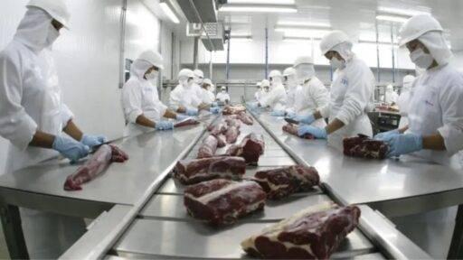 Brasil transforma picanha, sebo e até p3nis bovino em potência global nas exportações de carne