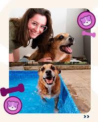 Cachorro há mais tempo em centro de adoção de SP ganha família após quase 10 anos de espera