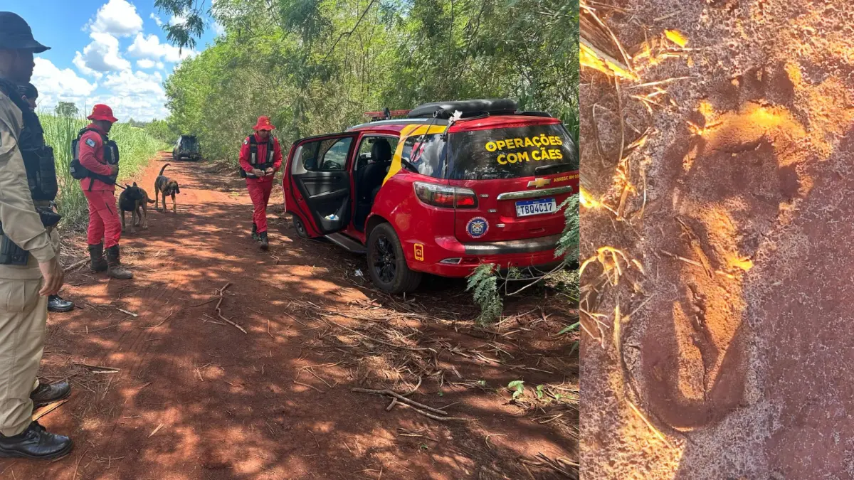 Criança morta após sequestro no Paraná era filha da namorada do suspeito