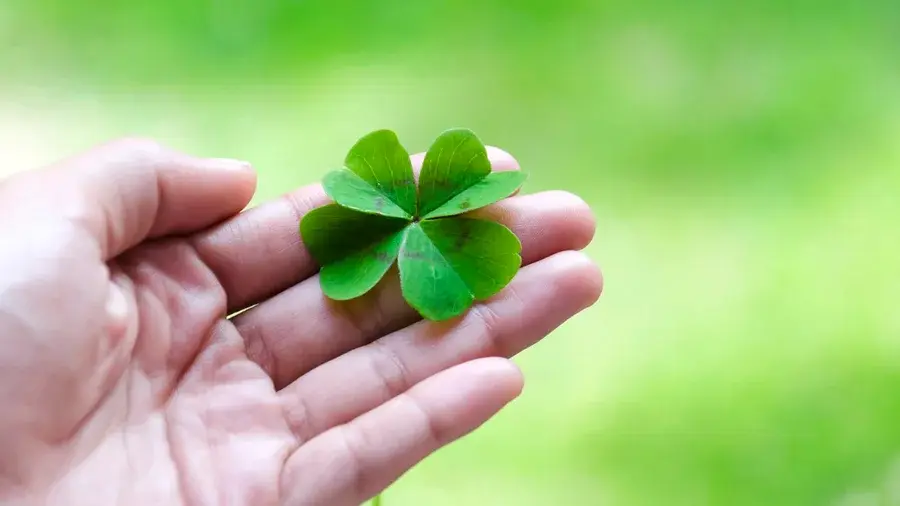 Estes signos terão muita sorte em fevereiro; o seu é um deles?