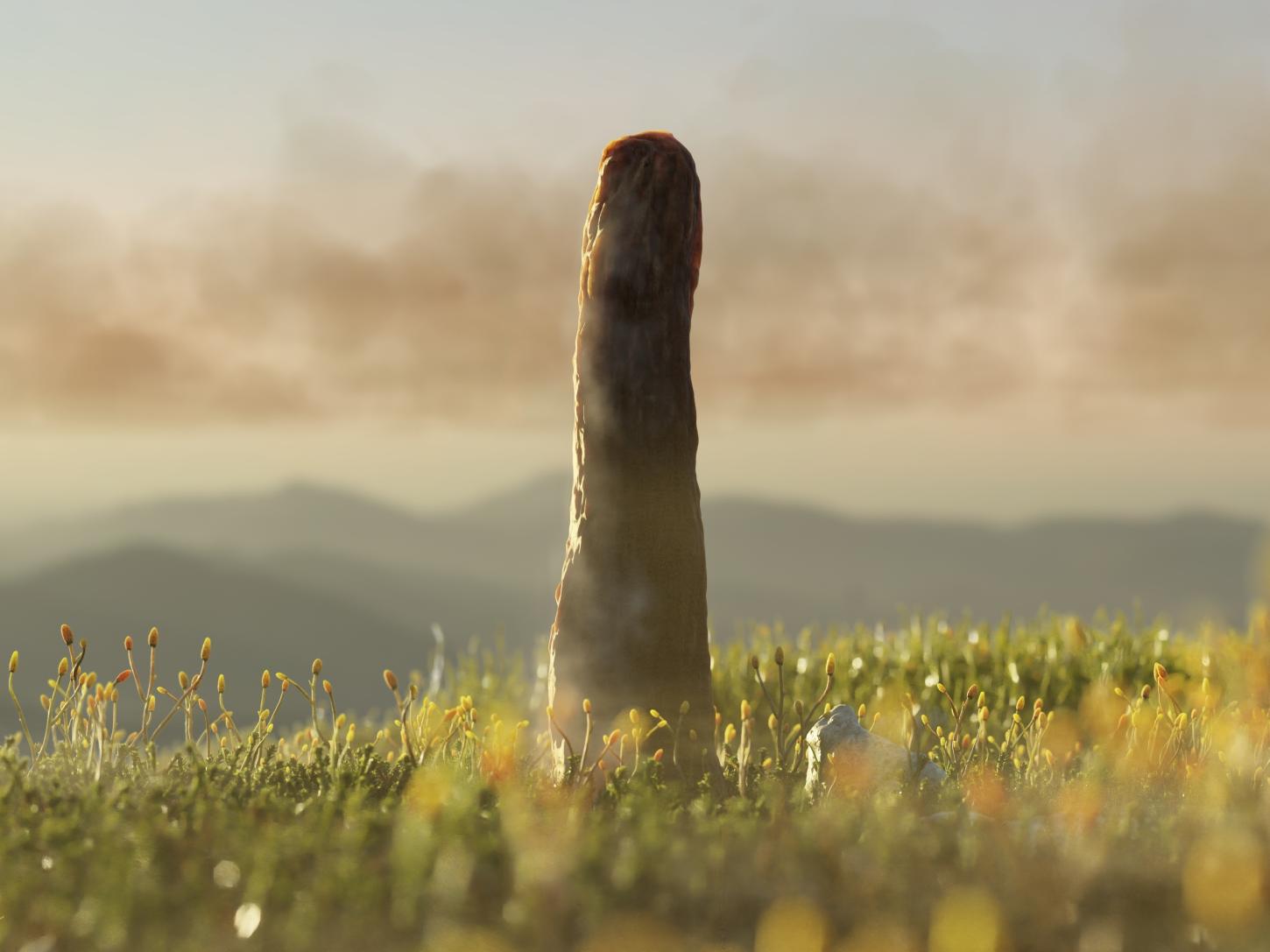 Maior forma de vida terrestre há 400 milhões de anos não tem explicação