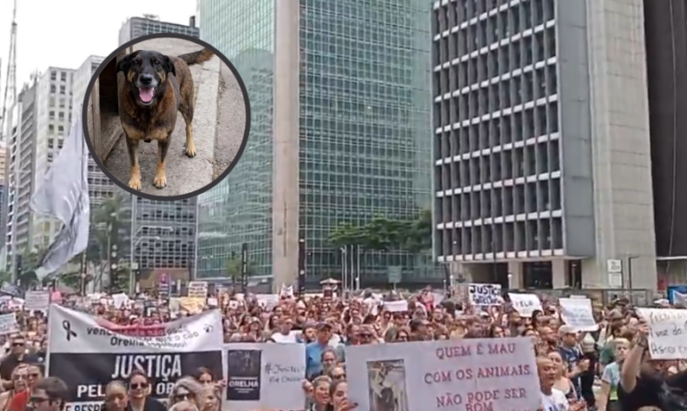 Manifestantes ocupam a Paulista por Justiça pelo cão Orelha e pedem redução da maioridade penal