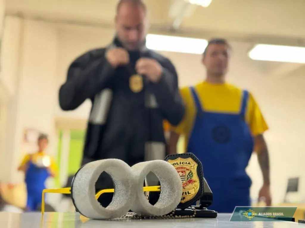 'Meu Malvado Favorito': policiais se vestem de “Minions” e realizam prisões