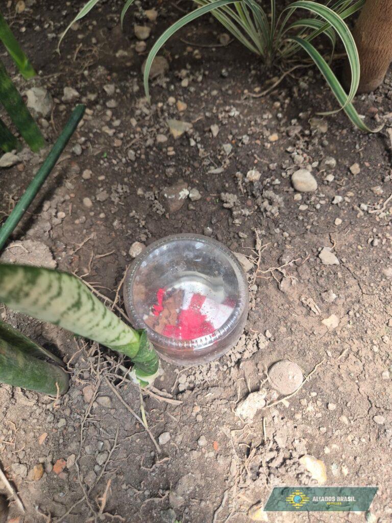 Objeto de feitiçaria é achado no gabinete de Magno Malta. Veja imagens