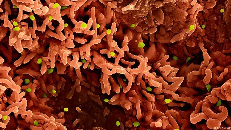 Os três vírus que podem desencadear novas crises em 2026