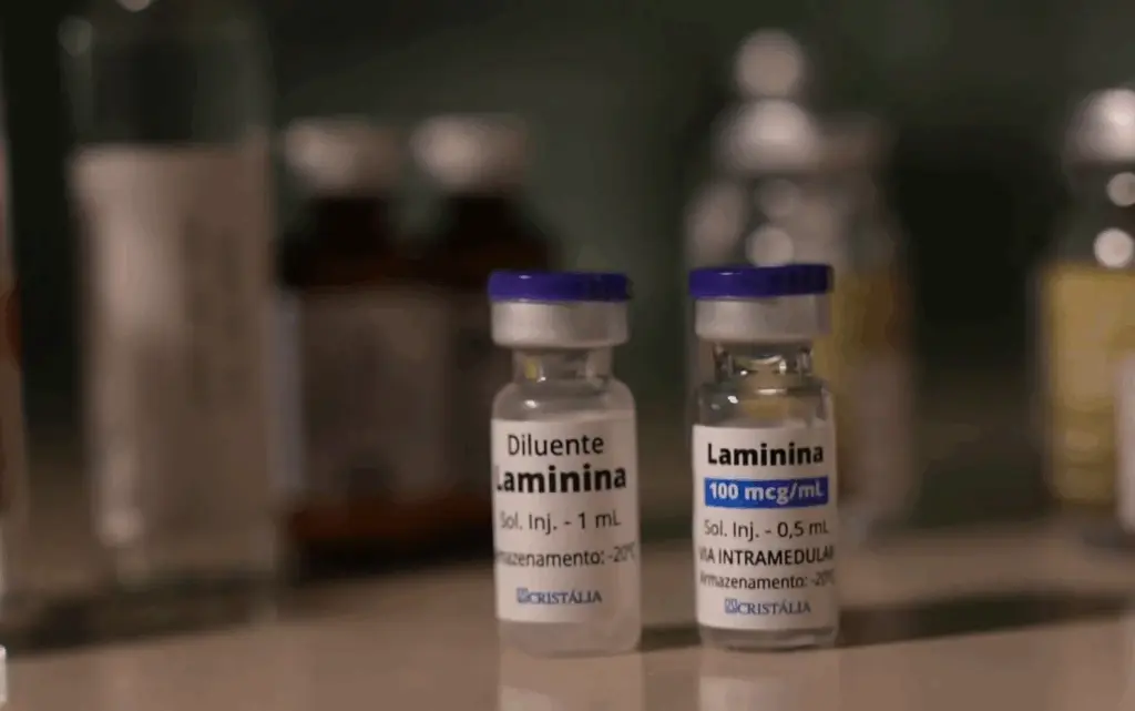 Polilaminina: Substância tem feito a tetraplegia ser revertida