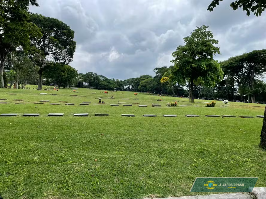 Após exumação, cinzas dos Mamonas são 'plantadas' e virarão árvores em BioParque de Guarulhos