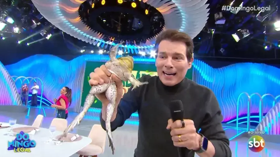 Celso Portiolli corre atrás de perereca ao vivo no SBT. Veja vídeo