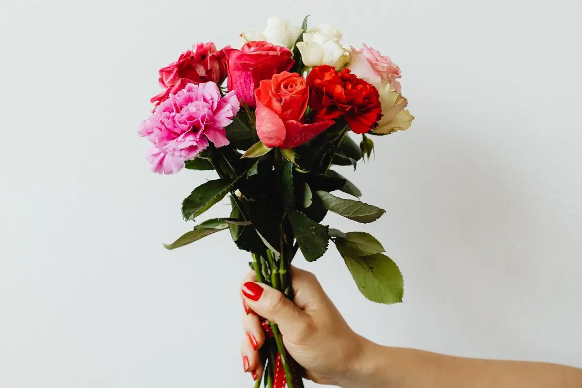 Dia da Mulher sob crítica: movimento “Não me dê flores” expõe violência e cobra mudanças reais